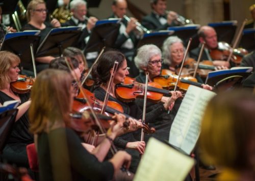 Violin players in Norwich Philharmonic Orchestra